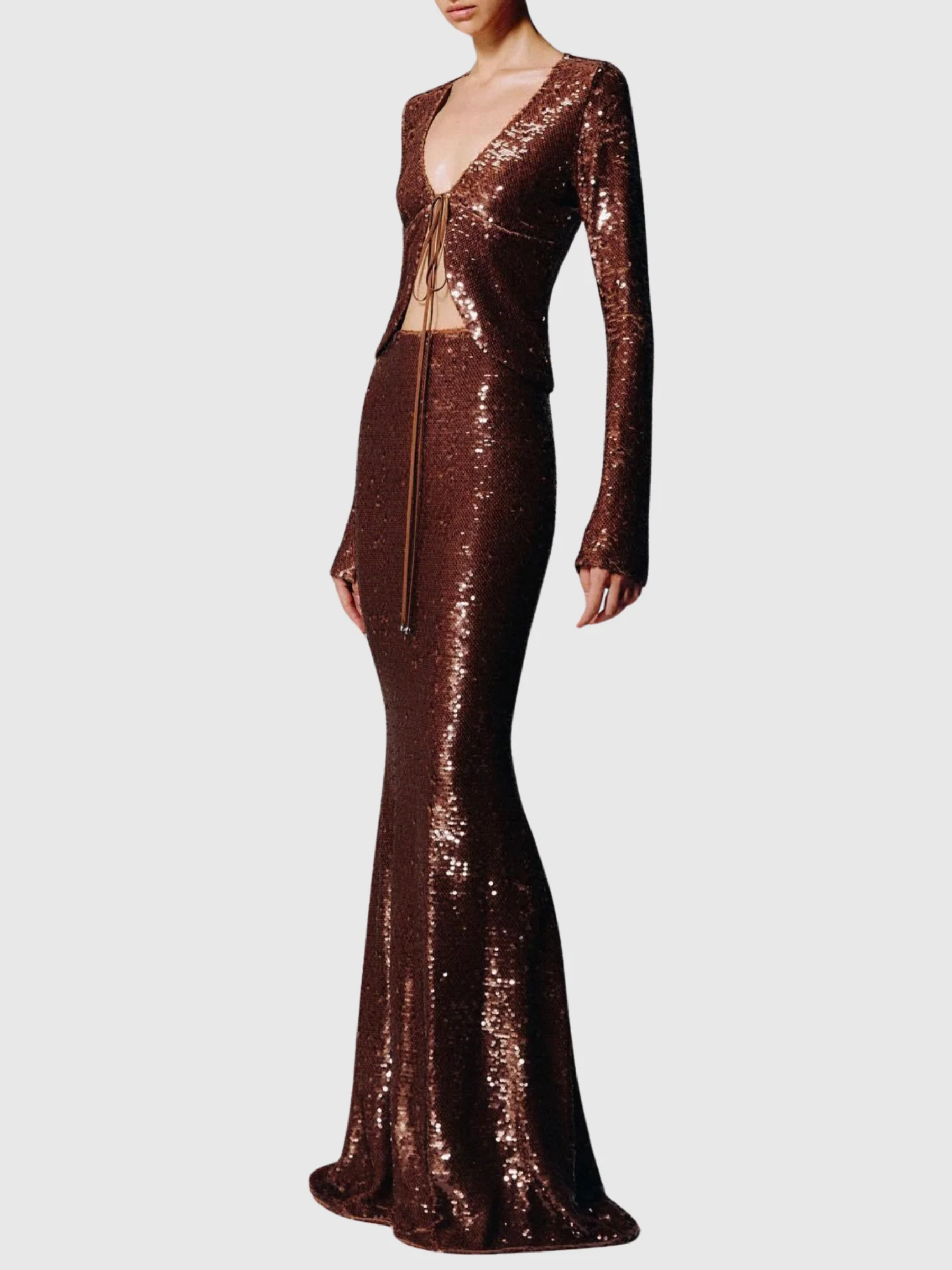 Avika Uzun Kollu Payetli Abiye