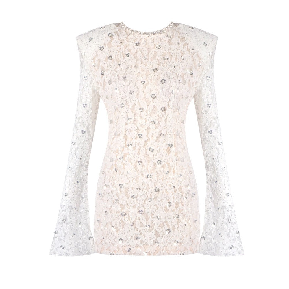 Dalyla Pul Payetli Dantel Mini Elbise