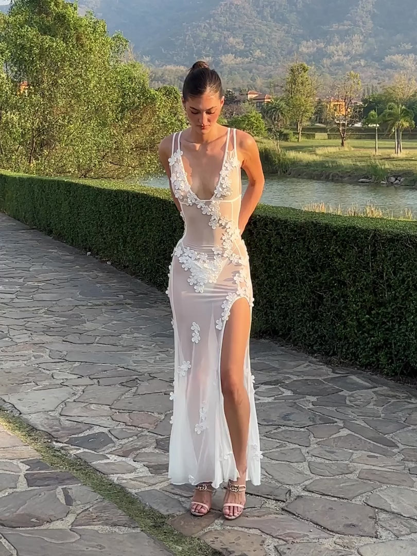 Gisella Floral Appliqué Maxi Dress